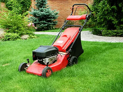 Landscape Maintenance, White Plains, GA