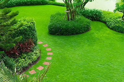 Landscape Services, Lake Oconee, GA